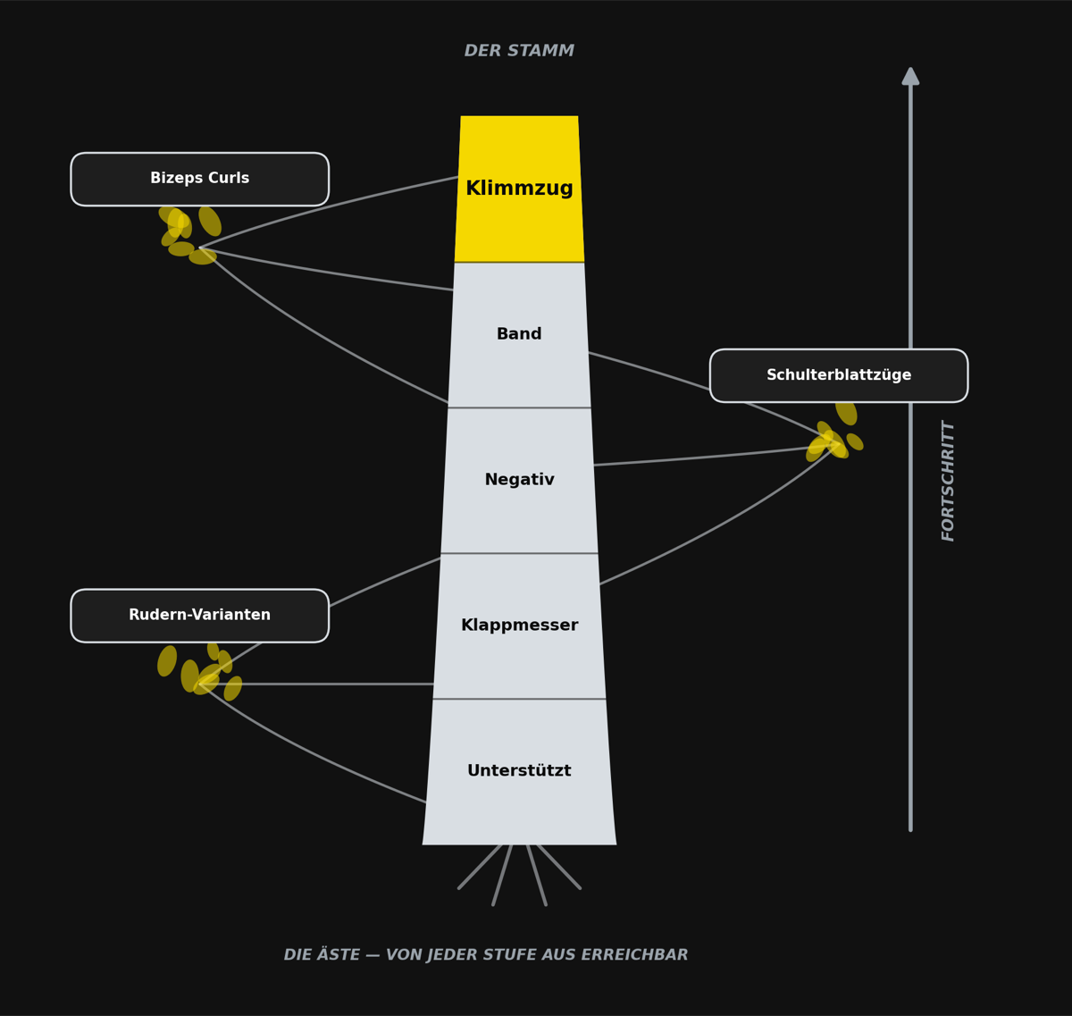 Grafik aus dem Anfänger-Guide